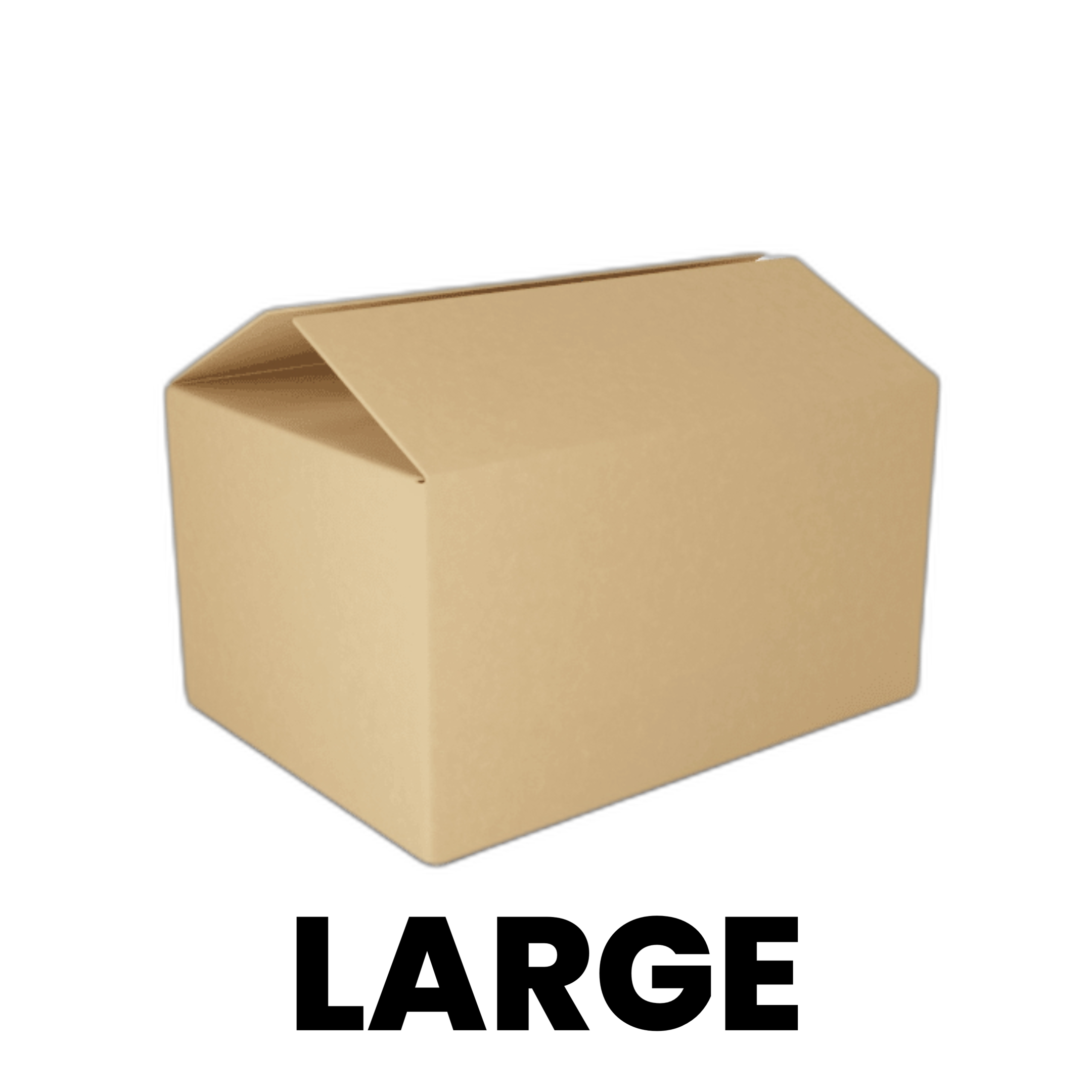 Large Box (Aus Only)